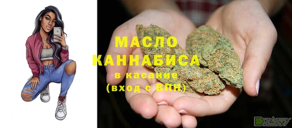 соль ск Кулебаки