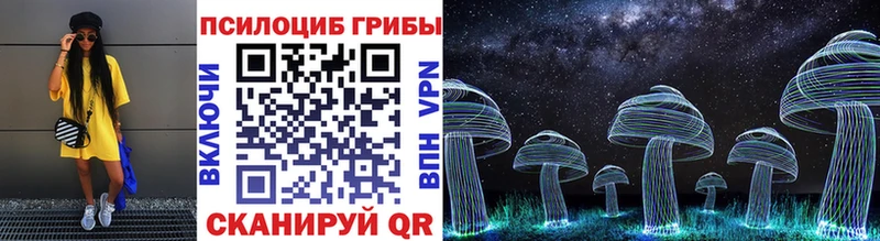 Купить где  Ахтубинск  Галлюциногенные грибы MAGIC MUSHROOMS 